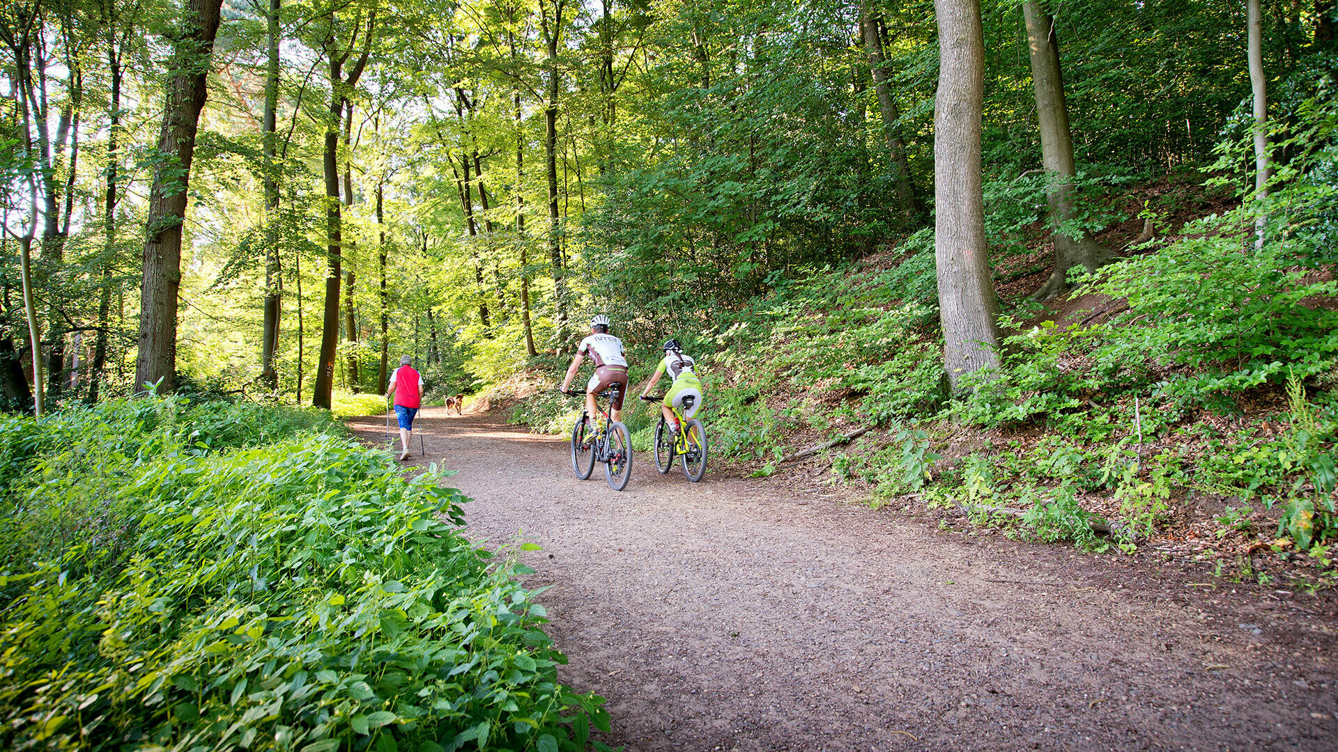 Wanderweg Milchborntal